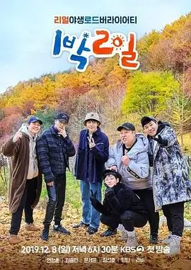 乘风破浪的姐姐